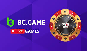Accessing Excitement Login To Bc Funs Accessing Excitement Login To Bc Funs